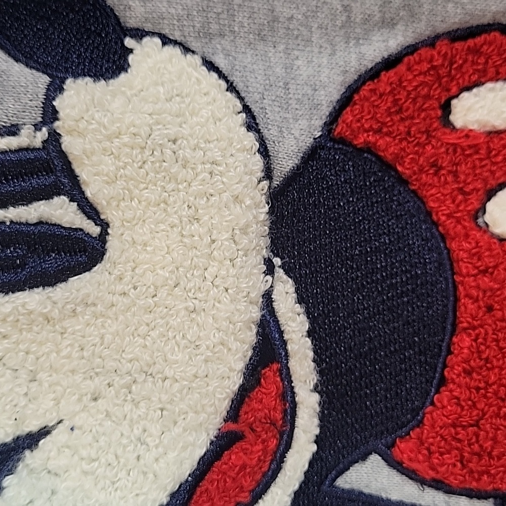 Disney Parks MICKEY MOUSE hoodie Textured - Picture 2 of 8